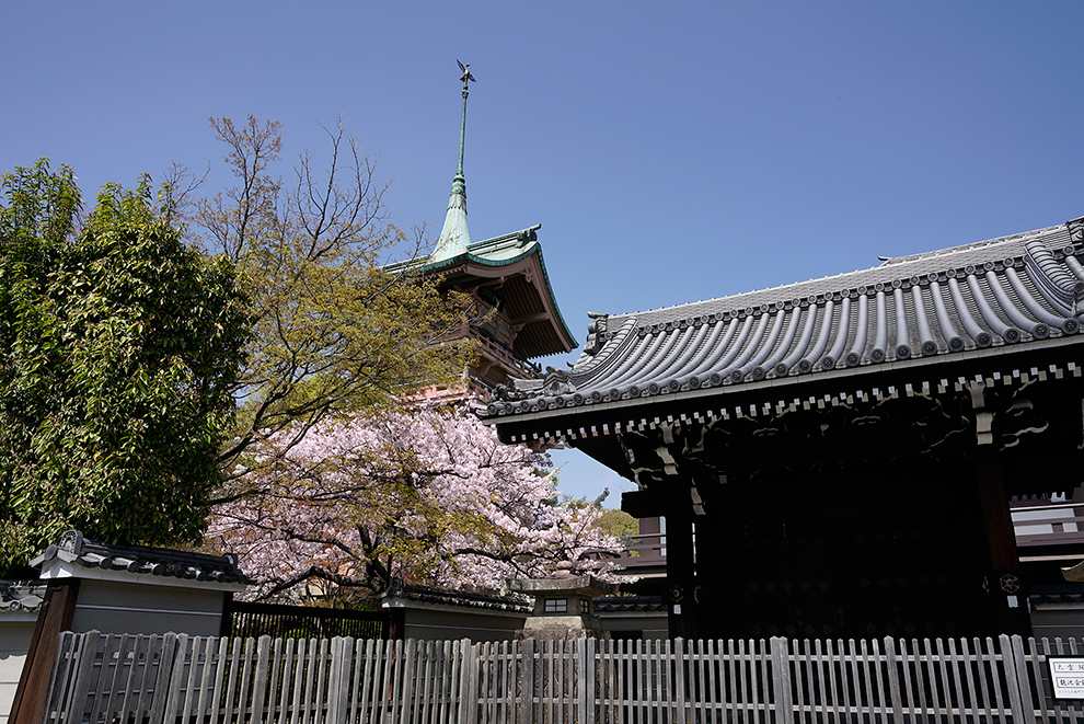 南門と祇園閣